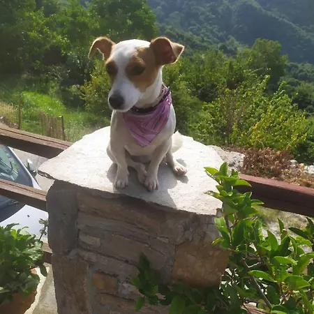 Filoxenia- Drakia Ferienhaus