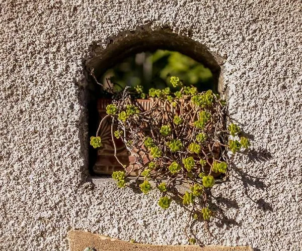 Filoxenia- Drakia Nyaraló